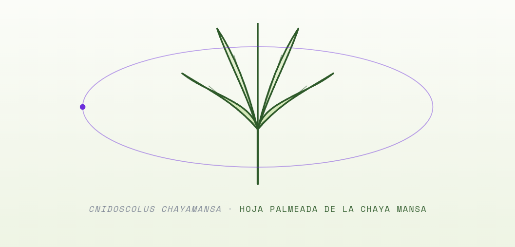 Captura de pantalla 2026-07-12 232647